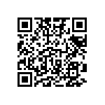 1206Y2K00391MXR QRCode