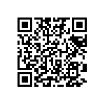 1210Y0100273MXR QRCode