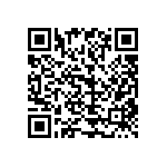 1210Y0250100KCR QRCode