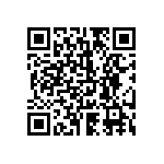 1210Y1000333JET QRCode