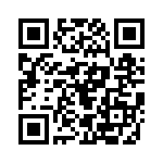 125131011203 QRCode