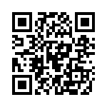 130118 QRCode