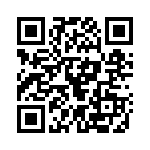 130663 QRCode