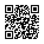 13161160 QRCode