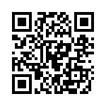 132110 QRCode