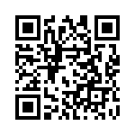 132131 QRCode