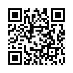 132143 QRCode