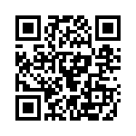 132163 QRCode