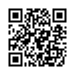 132169RP QRCode