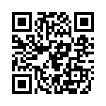 132171RP QRCode