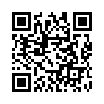 132172 QRCode