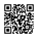 132284RP QRCode