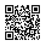 132289RP QRCode