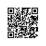 14010613101000 QRCode