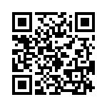 163A13029X QRCode