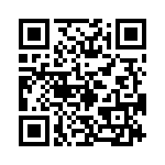 163A19599X QRCode