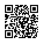 166P11 QRCode