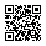 167333K100A-F QRCode