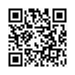 169571011203 QRCode