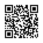 17011541201 QRCode