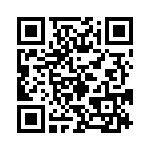 17130952201 QRCode