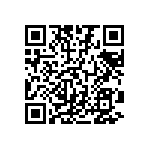 189-025-613R691 QRCode