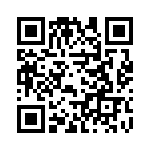 19003-0132 QRCode