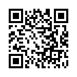 19300060291 QRCode