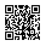 19300061295 QRCode