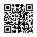 19300100291 QRCode