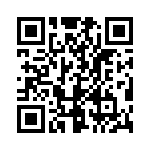 19300161291 QRCode