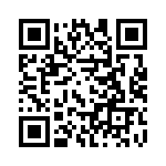 19300480292 QRCode