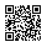 19300480293 QRCode