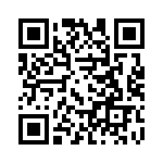 19400489822 QRCode