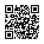 19411240273 QRCode