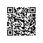 195-062-213L031 QRCode