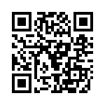 1N5365BG QRCode