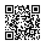 1PMT4131-TR13 QRCode