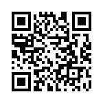 20100800001 QRCode