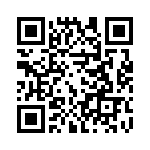 20101000001P QRCode