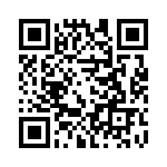 20104000001P QRCode