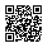 20106300301P QRCode