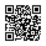 20111000001P QRCode