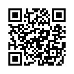 20111250531P QRCode