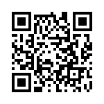 22-02-2045 QRCode