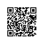 2225J6300333MXT QRCode