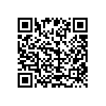 2225Y0250273KCR QRCode