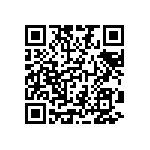 2225Y0250273KDR QRCode