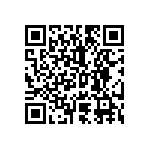 2225Y1K20272MXT QRCode