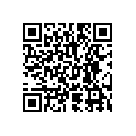 2225Y4K00271GCR QRCode